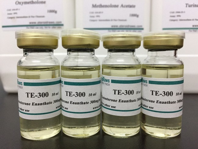 GMP standard Bulking steroid Testosterone Enanthate (300mg/ml) with safe delivery